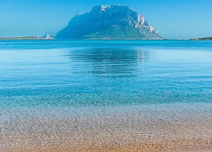 アパート Center Regina Elena 49 King *