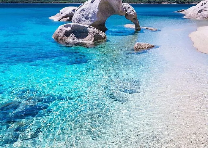 アパート Center Regina Elena 49 King *