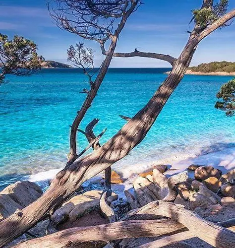 アパート Center Regina Elena 49 King *